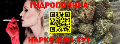кокс Шебекино