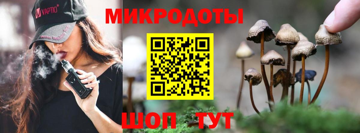 Усть-Илимск  Галлюциногенные грибы Psilocybe  как найти закладки  Галлюциногенные грибы мухоморы  Вход с VPN 
